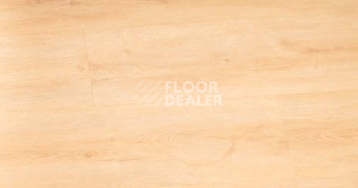 Кварцвиниловые полы Vinilpol Click 5мм 7891-EIR Дуб Латина фото 1 | FLOORDEALER